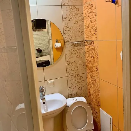 Marka Vovchka Apartment Lviv