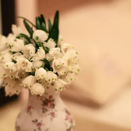 Marka Vovchka Apartment *