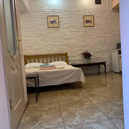 Marka Vovchka Apartment Lviv