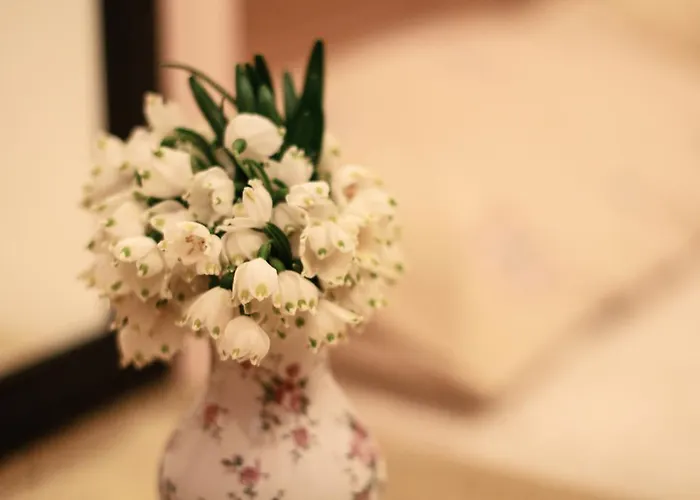 Marka Vovchka アパート *